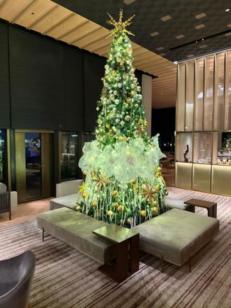 Christmas tree at the RC