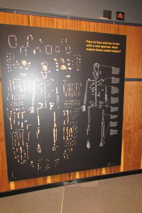 A few of the exhibits at the museum