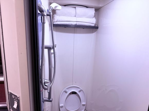 In Cabin Bathroom/Showere
