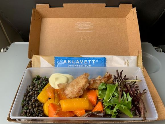 Vegan Special Meal, SAS Plus BRU-CPH, 29 April 2022.