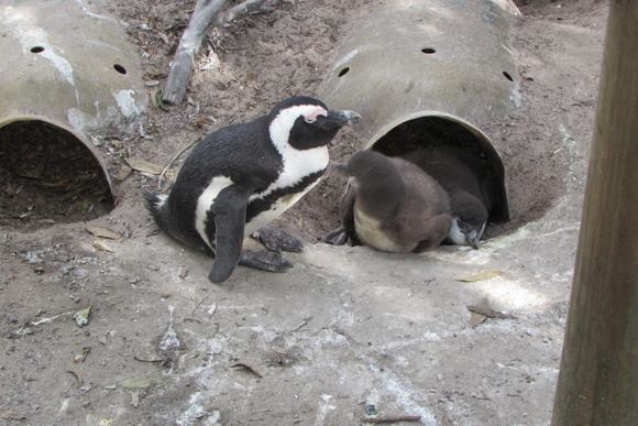 Parent with kids