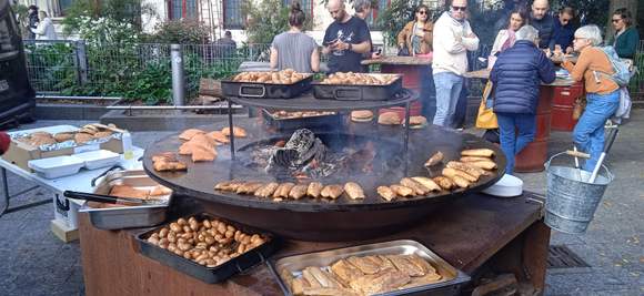 Grilled salmon