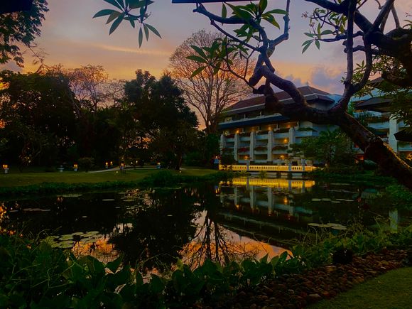 View from the Spa cafe