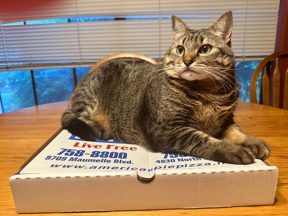 Gaby Baby says it’s her pizza.  
