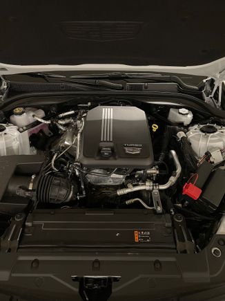 Engine - the engine seems to be placed behind the front wheel as it is a RWD-biased car. 