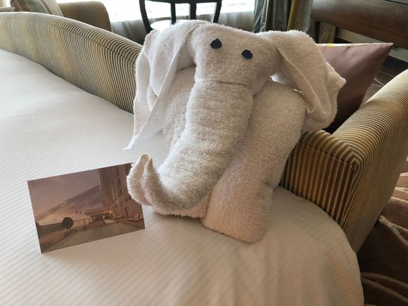 Elephant