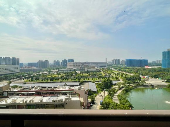 View from tle room