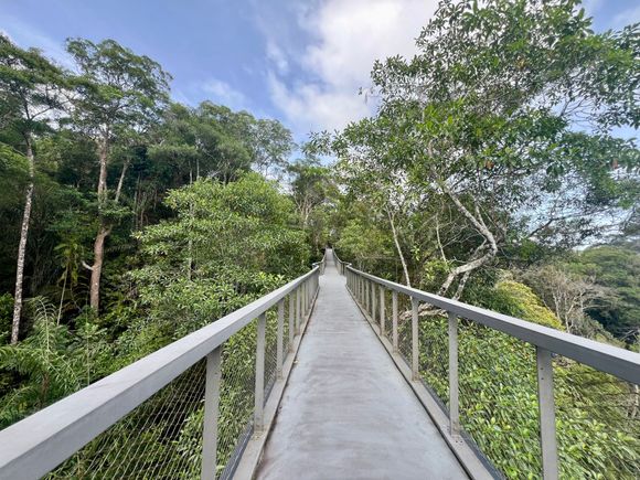 The ‘Habitat’ jungle walk-way