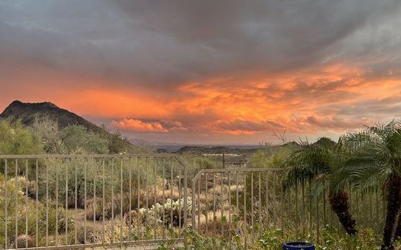 This evening, after the rain