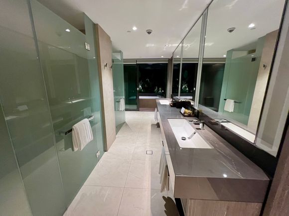 Double sink, separate shower and toilet 
