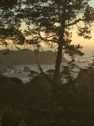 View from Townhouse 503 at dusk