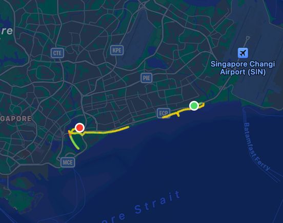 The route I took (missed recording a bit in the middle). I had to turn back at the Gardens at the Bay bridge, as it was closed for renovations.