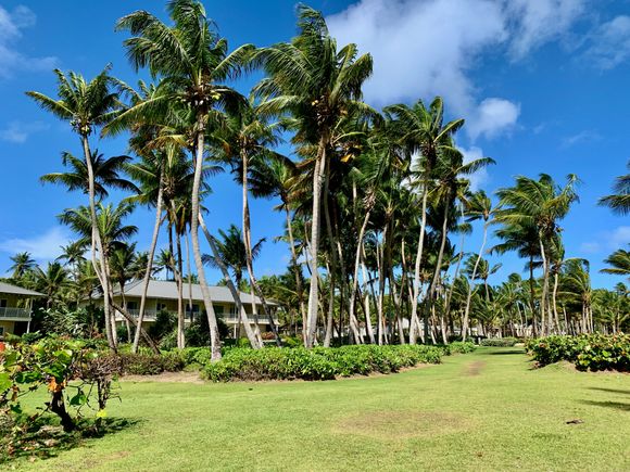 view of St. Regis's oceanfront bungalows from the beach