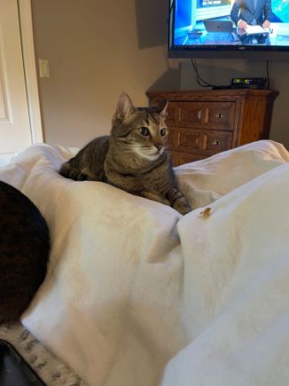 George has the current nursing shift.