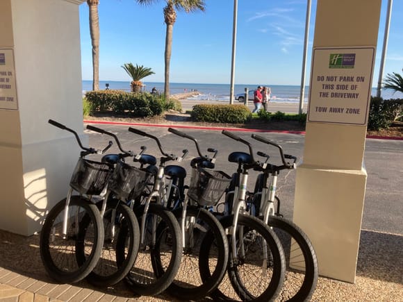 Rental bikes can hired from reception