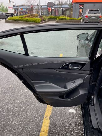 Passenger Door Panel 