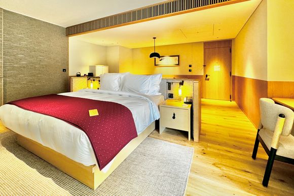 Living/Bedroom