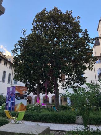 Find a nice spot amongst the cloisters' gardens