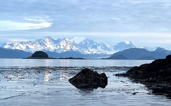 Glacier Bay National Park and Preserve (as seen from Elfin Cove)