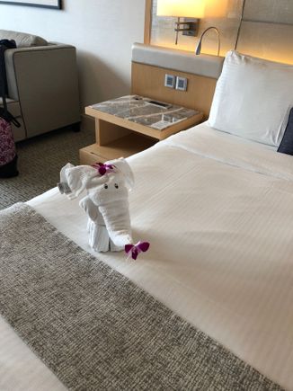 The elephant