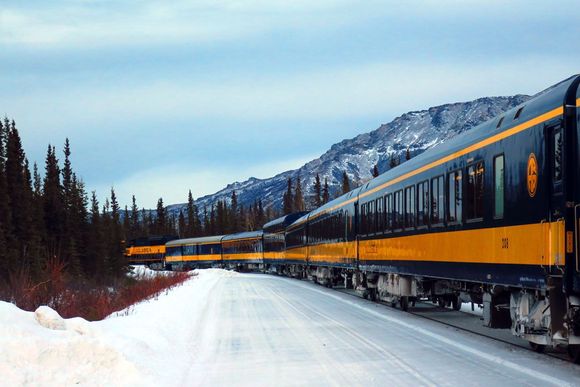 Our stop at Denali.