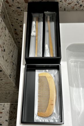 Bathroom amenities (only toothbrushes and comb