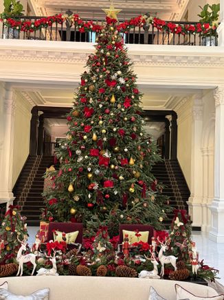 Rockefeller type tree (grown in Oregon and shipped over every year)
