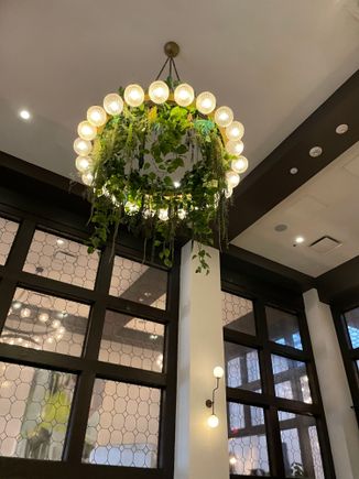 cafe fig chandelier