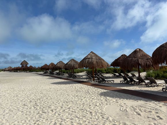 Beach area and back row of loungers 