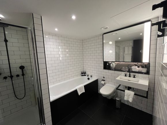 Deluxe King Room bathroom (full sized-tub, but stall shower was on the small side) 