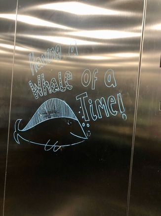inside the elevator there's messages to entertain