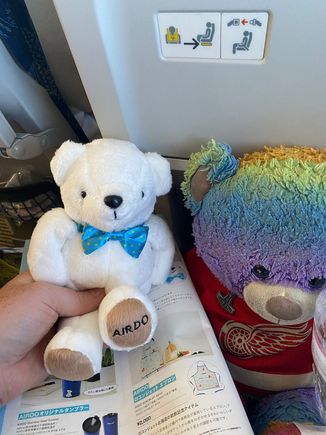 Bear Do! 