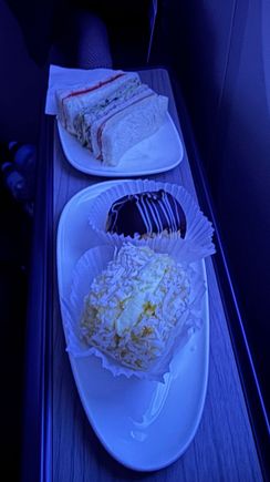 Mid-flight Snack