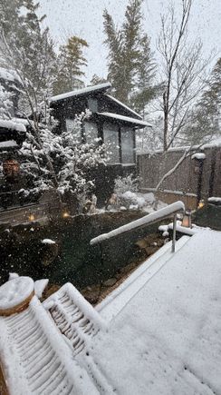 Winter wonderland 