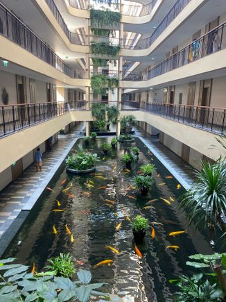 Atrium by day