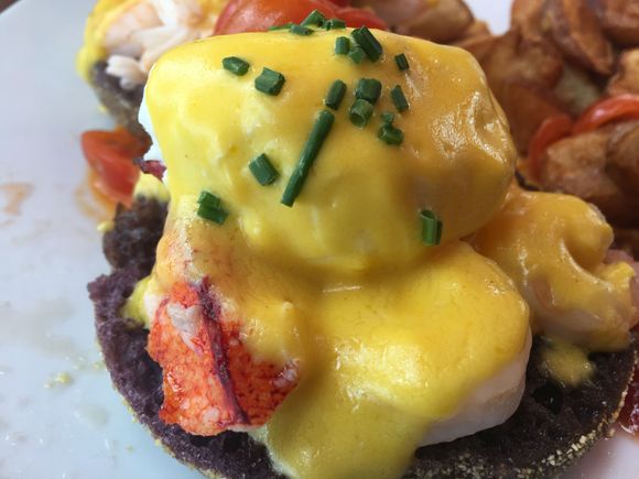Lobster benedict purchased with my Hilton credit. ( I saved up for a special meal, was $32)