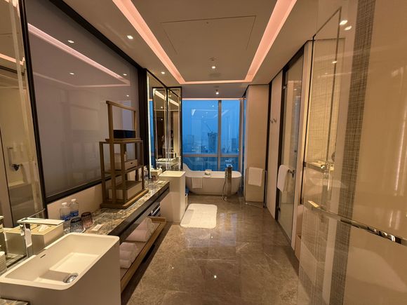 Bathtub next to the window (East / Shenzhen Bay). 