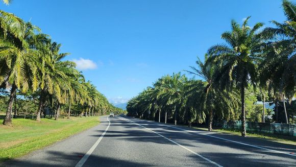 Port Douglas