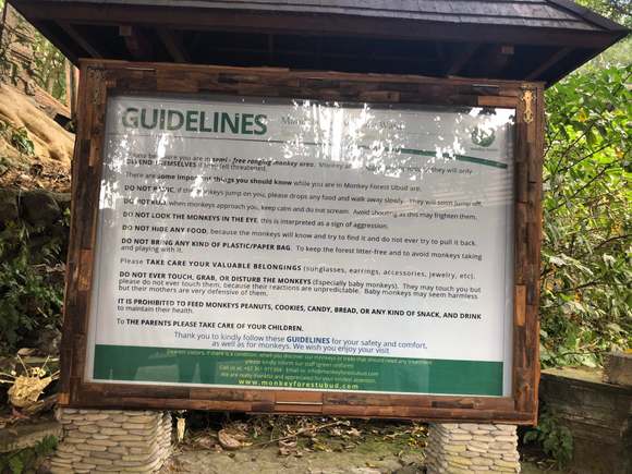Guidelines