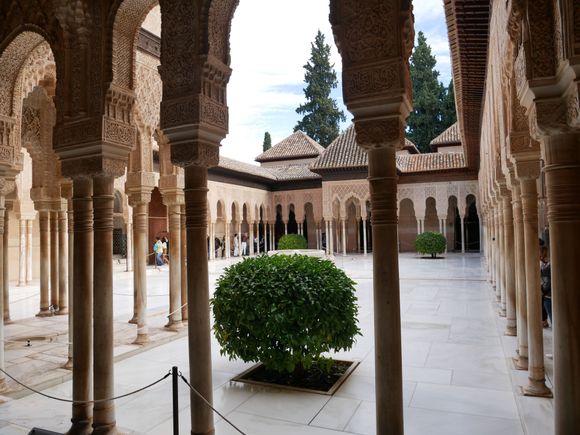 View over the Court of the Lions.