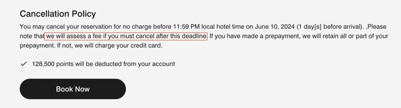 Final confirmation screen when booking with points.