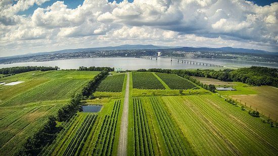 Here is the vineyard with the bridge and falls in the backdrop.