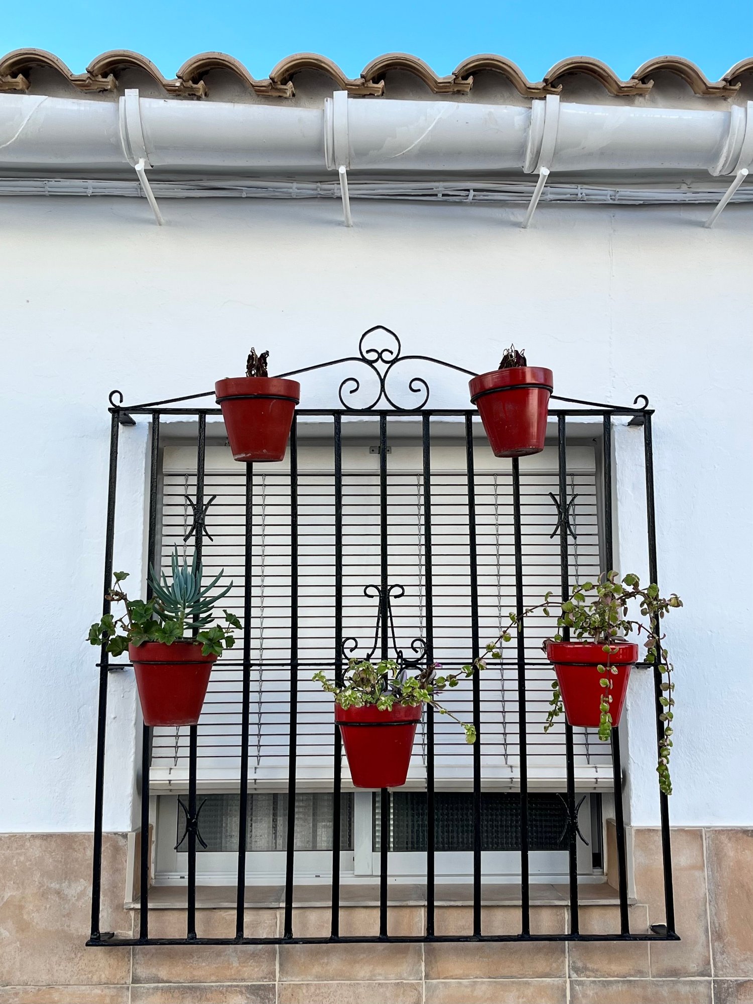 typical iron grille with decorative holders for flower pots