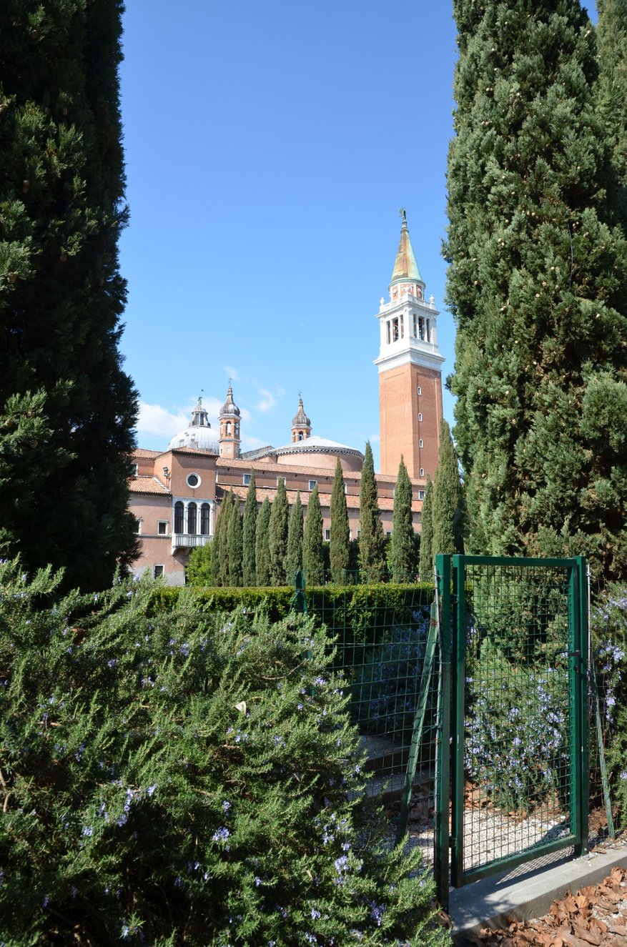 view from the backside