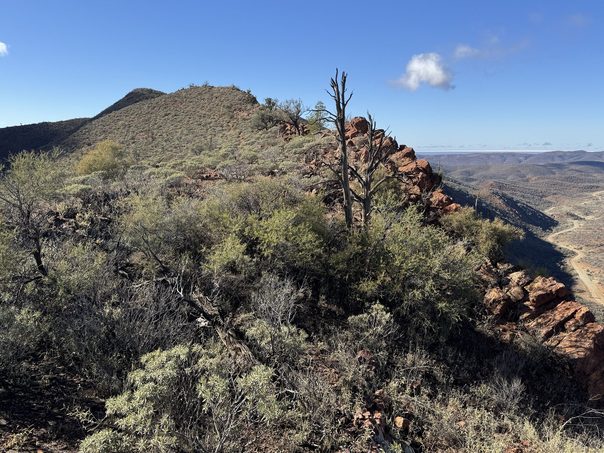 The Acacia Ridge, a great hike in the Arkaroola Wildlife Sanctuary