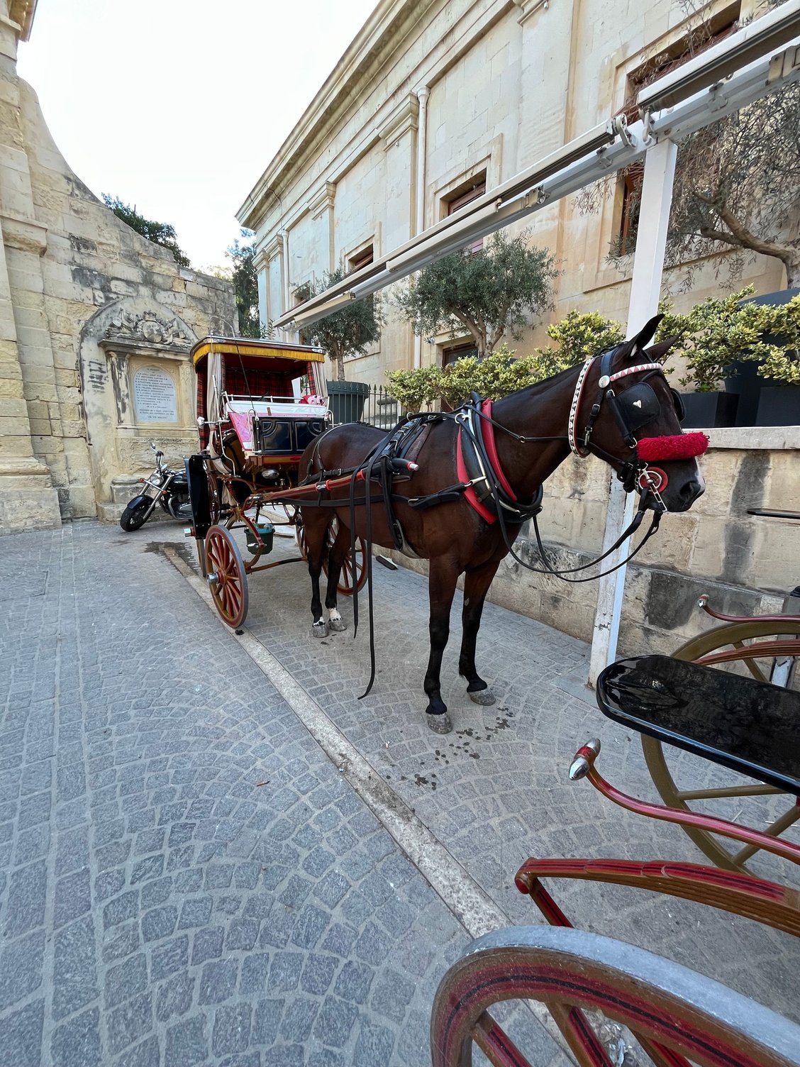 Walking around Upper Barrakka Gardens