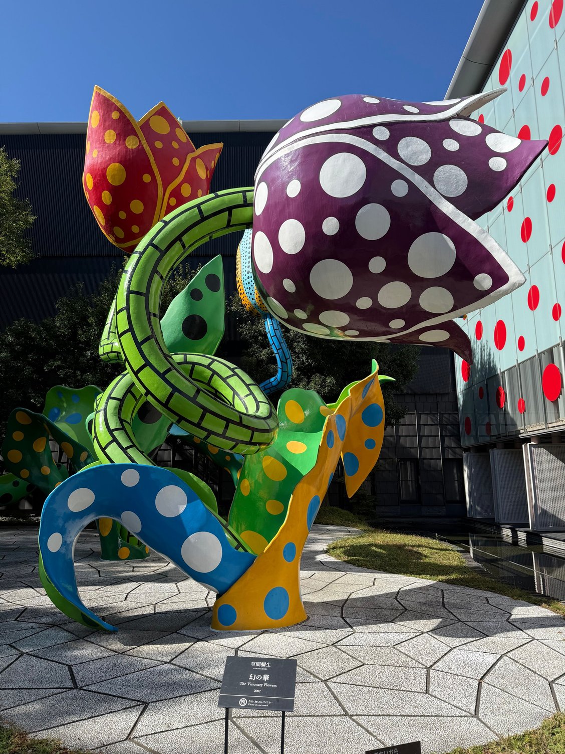 Yayoi Kusama sculptures at entrance to Matsumoto City Art Museum. photos were not allowed the indoor Kusama exhibits
