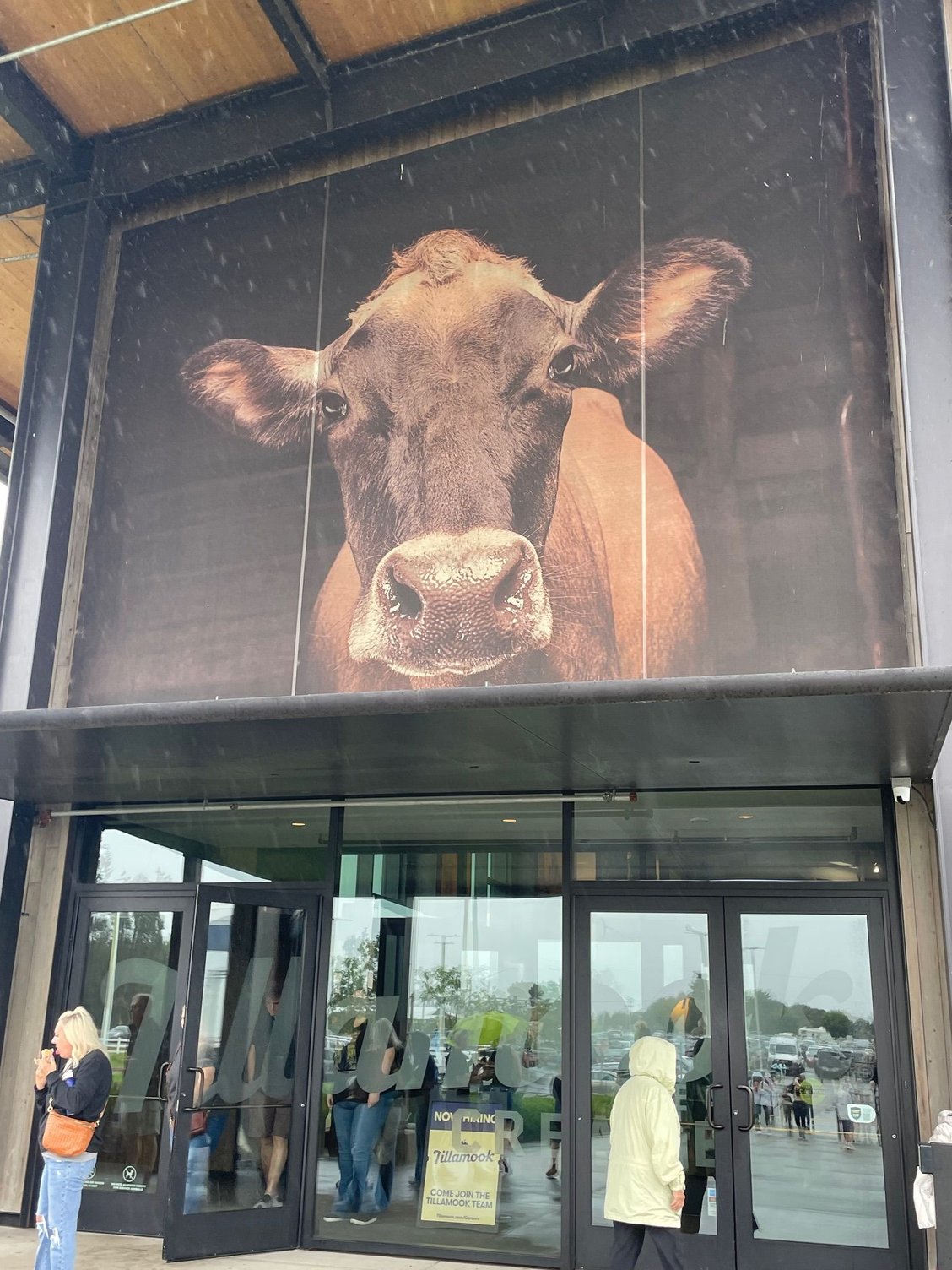 Here's Mrs. Cheddar herself