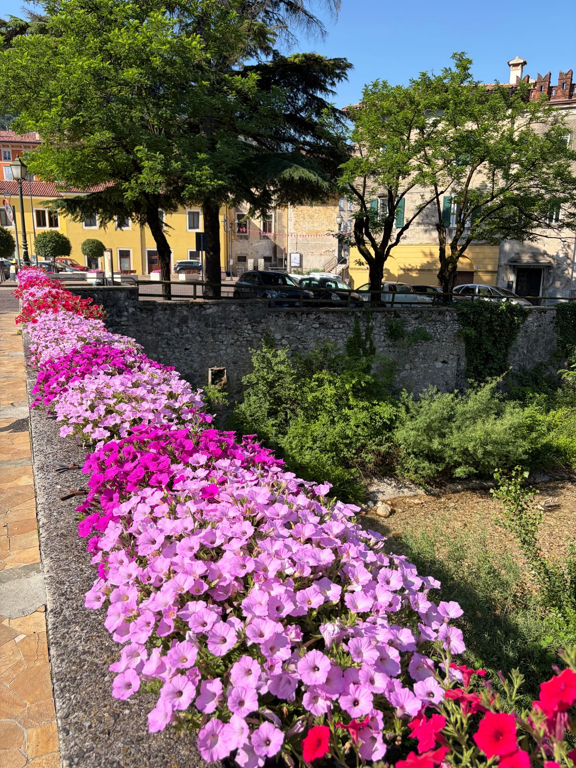 Lots of pink flowers ready for the race