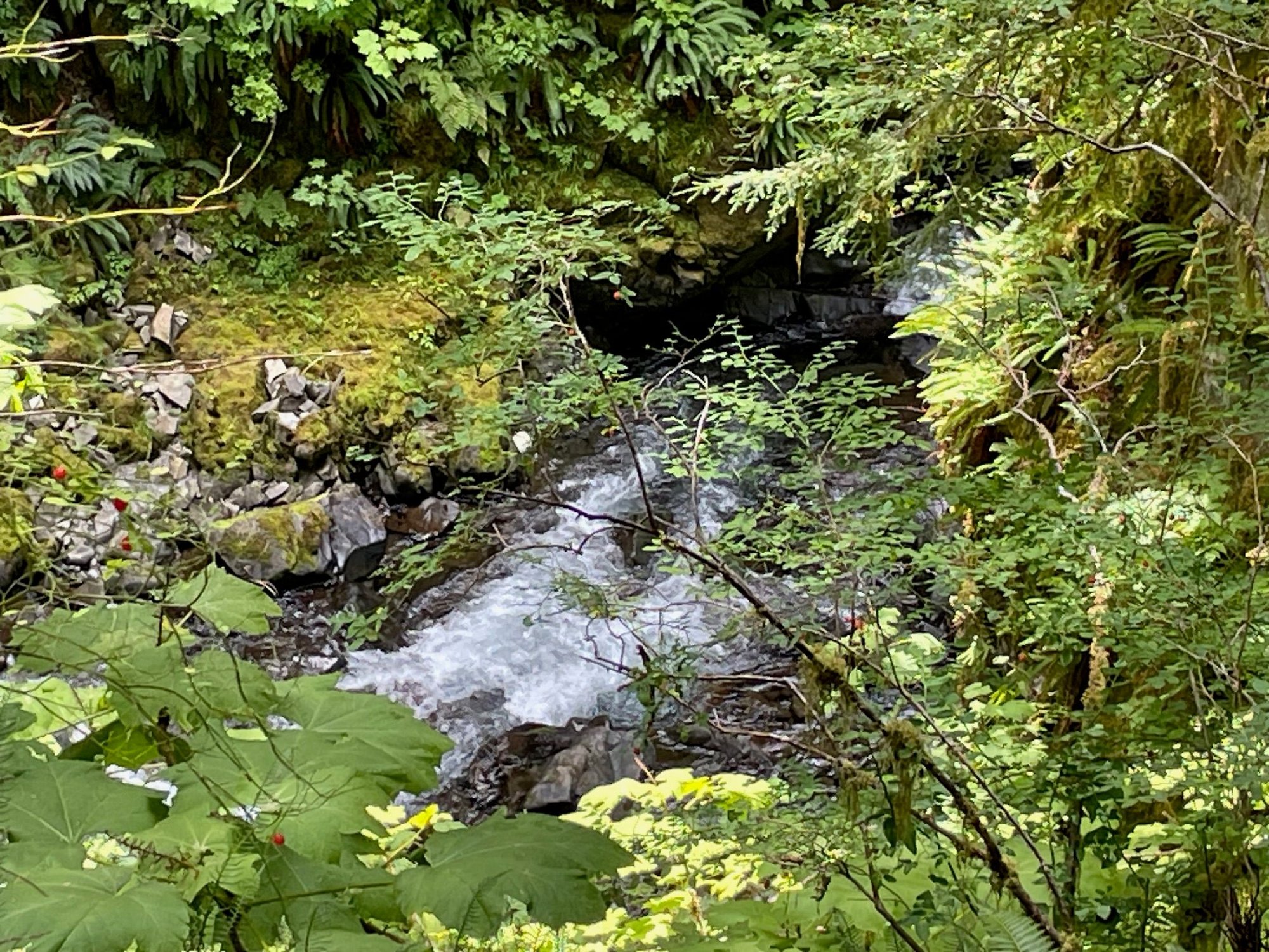 Water at the bottom of the falls